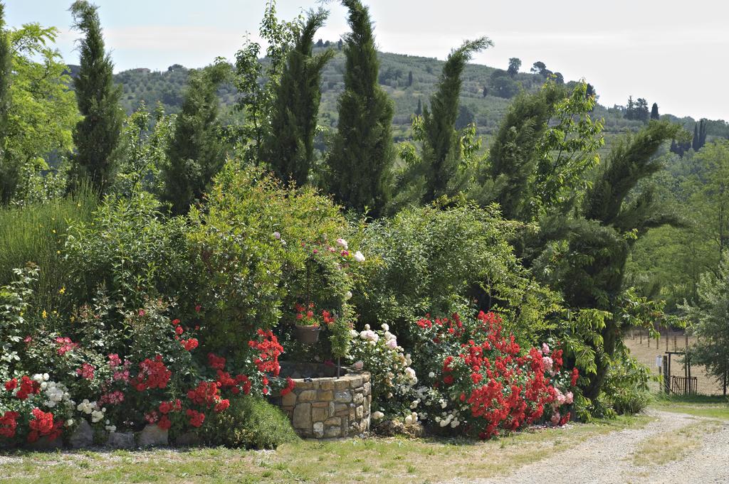 Hotel La Buca Di Montauto San Gimignano Exteriér fotografie